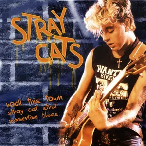 Stray cats